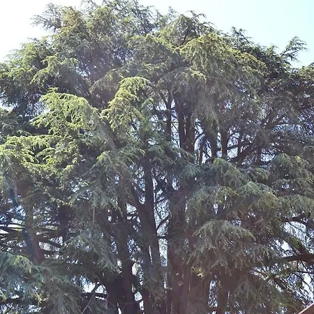 度假居 La Casa Di Primo